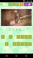 Animal Quiz Affiche