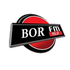 Bor Fm biểu tượng