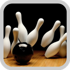 2017 3D Bowling Guide ไอคอน