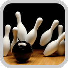 2017 3D Bowling Guide icône