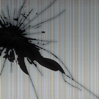 Wallpaper Cracked Screen आइकन