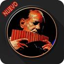 Gheorghe Zamfir-Top Pan Flute Muzica APK