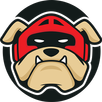 Boxer Internet - Browser APK