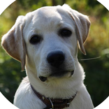 Интерактивная книга : Человеки