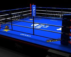 Boxing Wallpaper HD syot layar 2