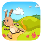 Super Bunny Run:fast icon