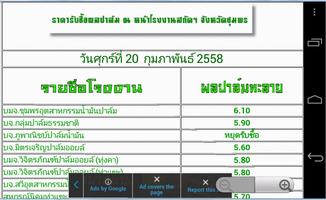 ราคาปาล์มน้ำม้น capture d'écran 1