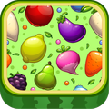 Fruit Link New 2017