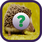 Animal Quiz Game-icoon