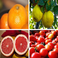 Fruit Guess