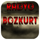 Radyo Bozkurt icône