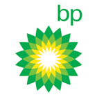 BP Review of World Energy आइकन