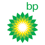 BP Review of World Energy icône