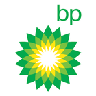 Icona BP Review of World Energy