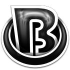 BlackLi multi theme icon
