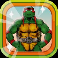 Ninja Turtle Hero Affiche