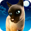 Miau! Miezekätzchen-Simulator 🐈 Süßes Katzenspiel