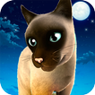 Miaou! Mignonne Minou 🐈Chiot Chat Amour Simulator