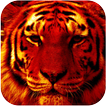 Fire Tiger Theme For AppLock