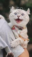 Lovely Cat Theme For AppLock screenshot 2