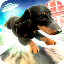 看門 狗 在 農場 🐶 Farmer Guard Dog APK