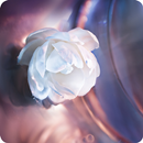 Thème de la fleur pour AppLock APK