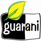Guarani Smart for Android icône