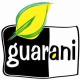 Guarani Smart for Android icono