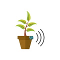 iplant