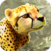 野生 獵豹 模擬器 2017 Wild Cheetah
