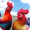 Wild Rooster Run ikona