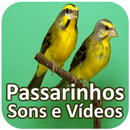 Passarinhos - Sons e Vídeos APK