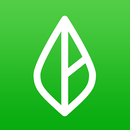 Leaf by Branch Messenger APK