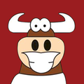 El Toro Contento Isle of Wight
