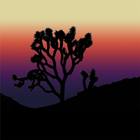 Joshua Tree, Surrey 아이콘