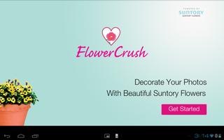 Flower Crush Affiche