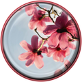 Spring Flowers Live Wallpaper