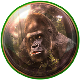 الملك الغوريلا خلفيات حية