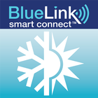 BlueLink Smart Connect Zeichen