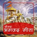 Bhagavad Gita in Hindi offline aplikacja