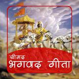 Bhagavad Gita in Hindi offline icône