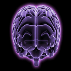 Brain Age Test New icon