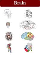 Ebooks cerveau capture d'écran 1