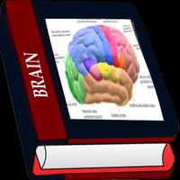 Ebooks cerveau capture d'écran 3