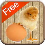 Chicken Games for Kids - Free