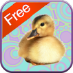 Duck Games for Toddlers - Free