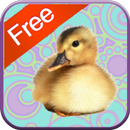 Duck Games for Toddlers - Free APK