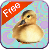 Duck Games for Toddlers  icon