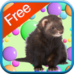 Ferret Games - Free