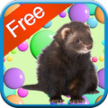 Ferret Games - Free